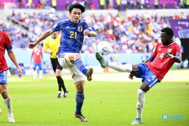 来的出手果 来的出手果